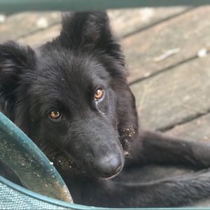 Meet your Posher, Beth